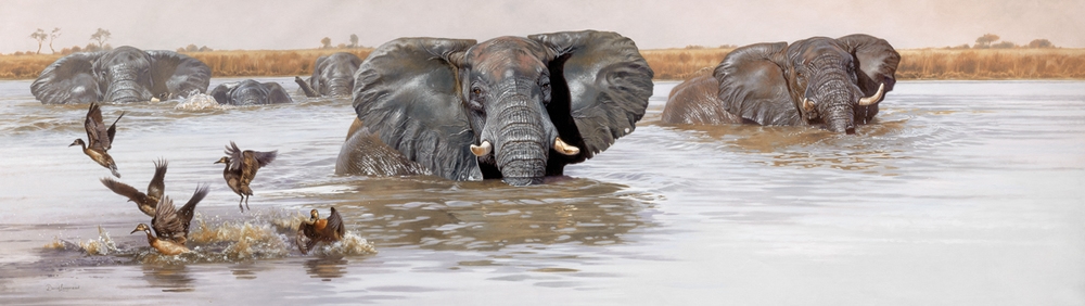 'Chobe River Crossing' By David Langmead 24x82 Giclee