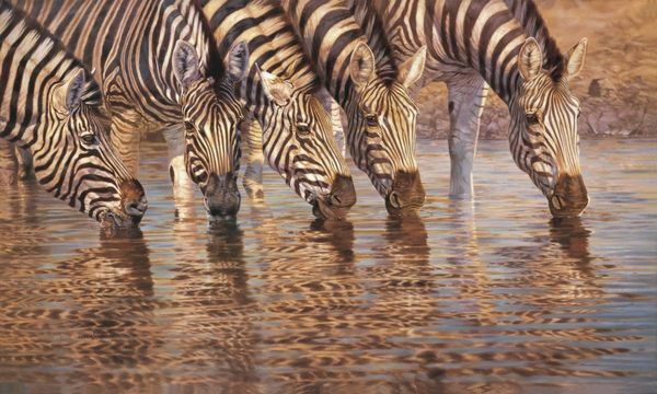 DRINKING BUDDIES III by David Langmead Wildlife art print DRINKING BUDDIES III David Langmead Product Link